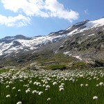 Blick zum Keeskogel