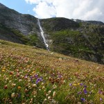 Tosend stürzen die Wasserfälle zu Tal