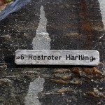 ... Aha! Es ist der rostrote Härtling.