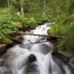 Rauschend und tosend kommt der Schöderbach den Berg herab