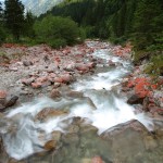 Die rote Grünalge lässt die Steine in so kräftigem rot erscheinen