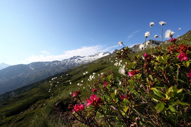 Zwischen Kühnerkarsattel und Modereggalm - Blick zum Keeskogel