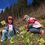 Anna und Christina beim Blumenpflücken