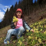 Anna beim Schlüsselblumenpflücken