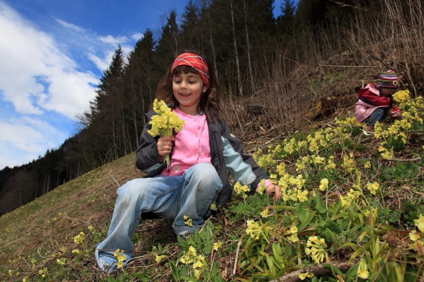 Anna beim Schlüsselblumenpflücken