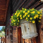 An der Unterwandalm
