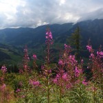 Blick ins wolkenverhangene Tal