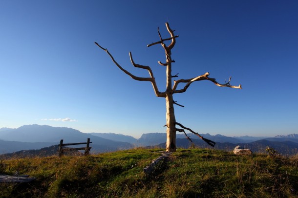 Das neue "Natur-Kreuz" am Vorgipfel der Gabel - gefertigt aus einer alten Zirbe