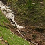 Unmengen an Holz und Geröll reißt so eine Lawine mit.