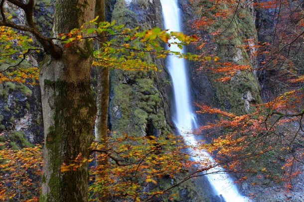 Oktober 2014: Herbst in der Liechtensteinklamm