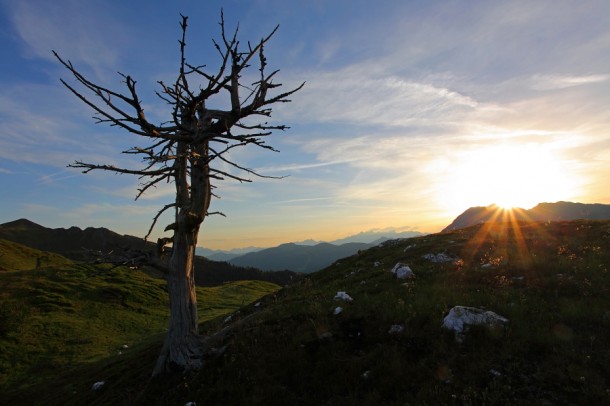 Die ersten Sonnenstrahlen bringen Licht und Wärme