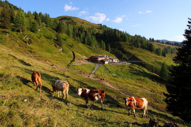 Loosbühelalm im Ellmautal in Großarl im späten Abendlicht