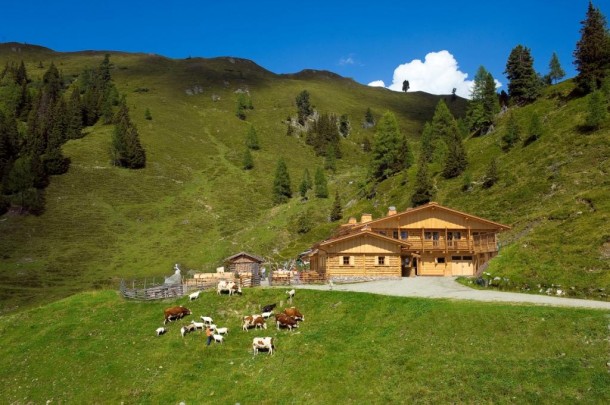 Loosbühelalm im Großarler Ellmautal