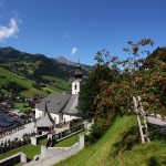 Vogelbeerpflücken mit konventionellen Hilfsmitteln