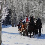 Pferdeschlitten im Talschluss