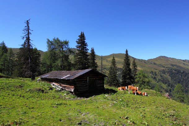 Das war früher mal eine komplette Almhütte.