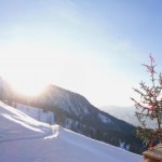 Der "Firstbaum" schmückt die neue Hütte