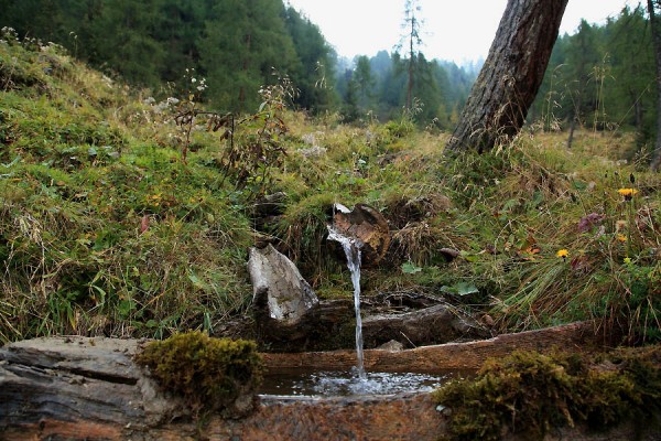 Brunnen nahe der Karteisalm