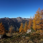 Beim Abstieg leuchten die Lärchen im vollen Sonnenschein