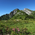 "Almfrieden" - Blick zu Schober, Höllwand und Sandkogel