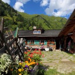 Herrlicher Blumenschmuck an der unteren Kreealm