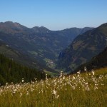 Unterwegs zum Murtörl - der Blick hinaus nach Hüttschlag