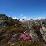 Abstieg vom Mureck - ein herrliches Stück Nationalpark Hohe Tauern
