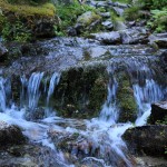 Frisches Wasser überall