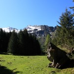 Wacht hier ein versteinerter Berggeist?