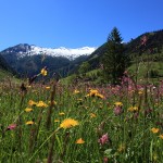 Talschluss beim Stockhambauer