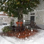 Nur das "Wander-Bankerl" vor unserem Büro ist noch schneefrei