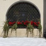Blumen und Schnee - hier am Eingang zur Kirche