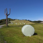 Blick zum Kreuzkogel