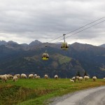 Am Rückweg vom Kreuzkogel haben uns diese Schafe ein Stück des Weges begleitet