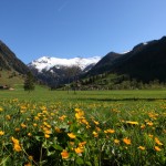 Frühling im Talschluss von Hüttschlag