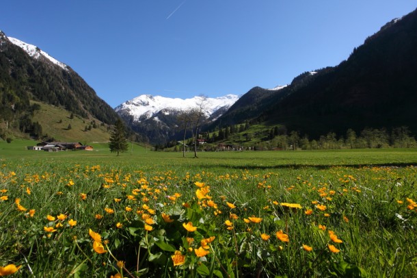 Frühling im Talschluss von Hüttschlag