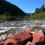 Blick auf den Ötzlsee. Die roten Steine im Vordergrund sind bewachsen von der Grünalge