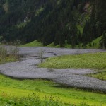 ... näher rangezoomt.