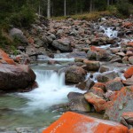 Die "Rote Grünalge" färbt die Steine in diesem kräftigen Rot-Orange