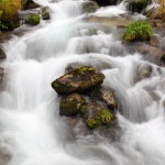 Quirlig sprudelt das Wasser über die moosbewachsenen Steine