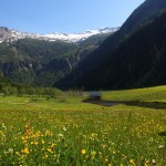 Zum Vergleich - Blick in den Talschluss heuer im Frühjahr