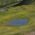 Kleine Lacke im Tappenkar 1