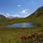 Kleine Lacke im Tappenkar 2