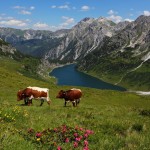 Almidylle am Tappenkarsee