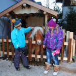 Streichelkrippe am Adventmarkt in Großarl