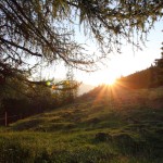 Sonnenuntergang an der Unterwandalm