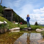 Im kleinen Teich haben wir Frösche, Kaulquappen und Lurche entdeckt