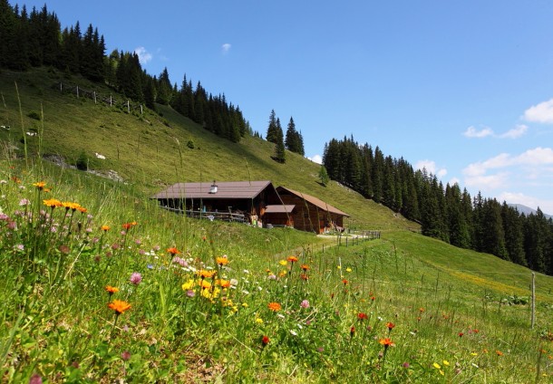 Letzten Samstag an der Vorderkaseralm