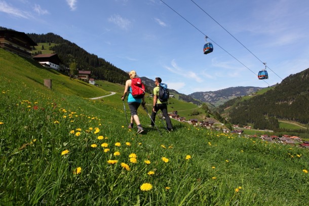 Wandern entlang der Blumenwiese