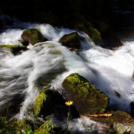 Tosende Wasser 4